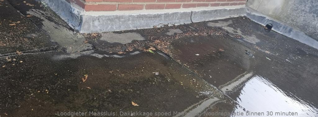 Daklekkage spoed Maassluis: Noodreparatie binnen 30 minuten