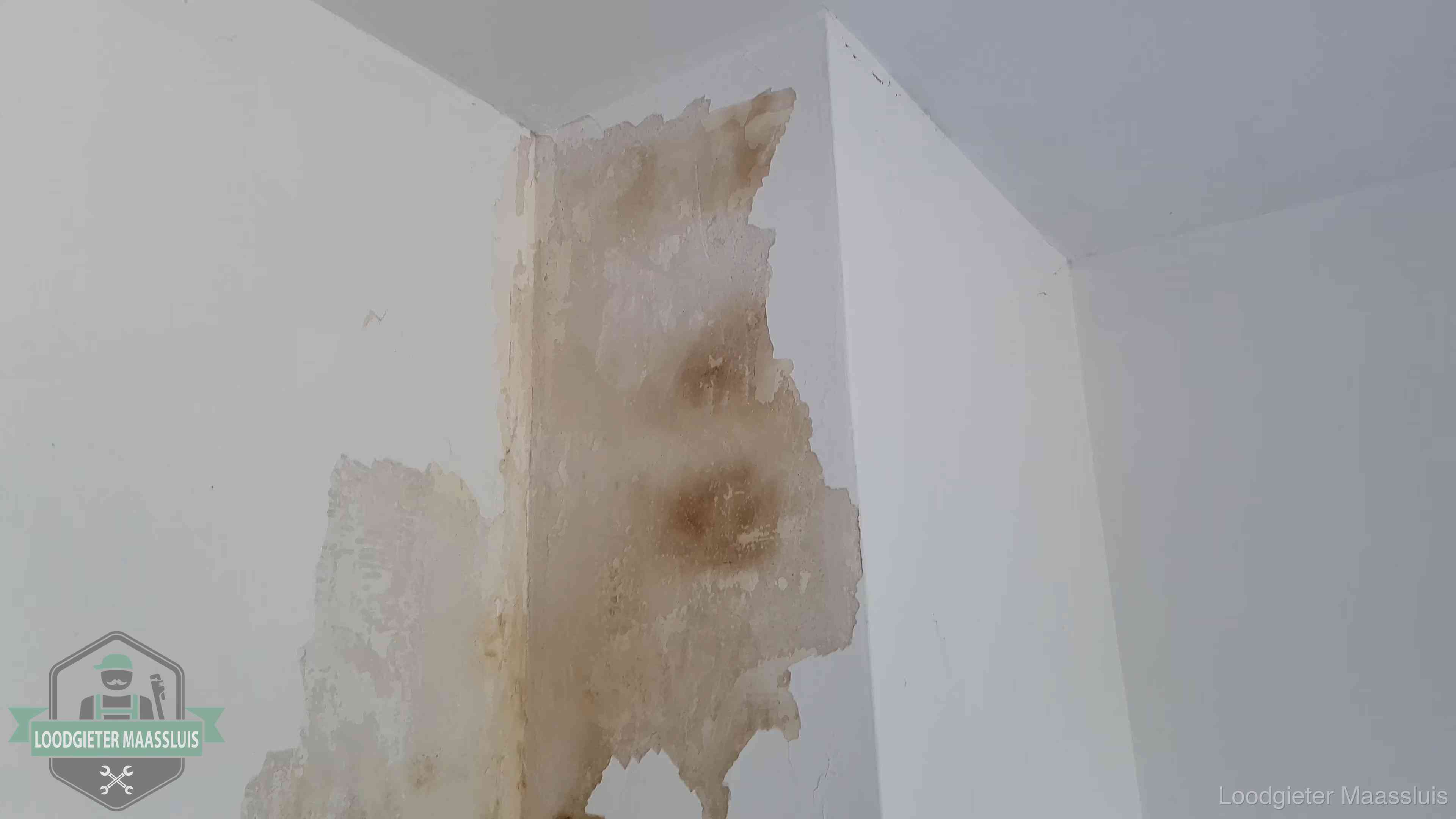 Daklekkage herkennen in Maassluis Bruine vochtkringen en afbladderend stucwerk op een binnenmuur in Maassluis, een eerste teken van daklekkage