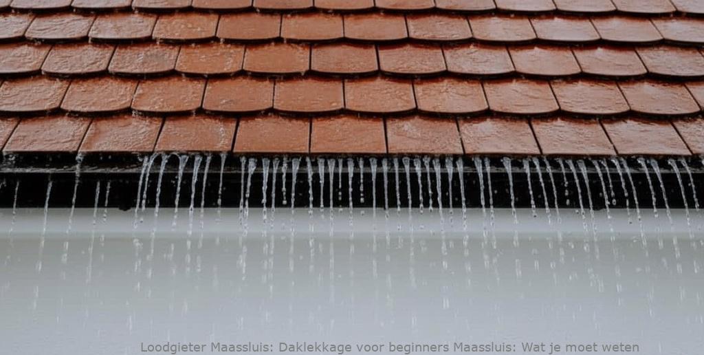 Daklekkage voor beginners Maassluis: Wat je moet weten