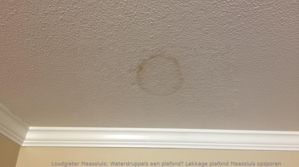 Waterdruppels aan plafond? Lekkage plafond Maassluis opsporen
