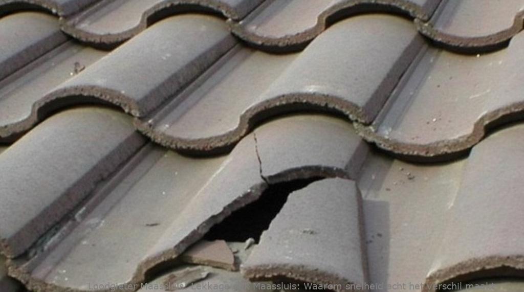 Lekkage dak Maassluis: Waarom snelheid echt het verschil maakt