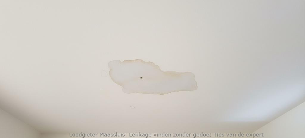 Lekkage vinden zonder gedoe: Tips van de expert