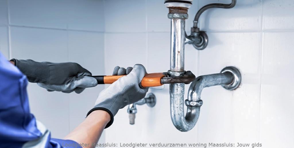 Loodgieter verduurzamen woning Maassluis: Jouw gids