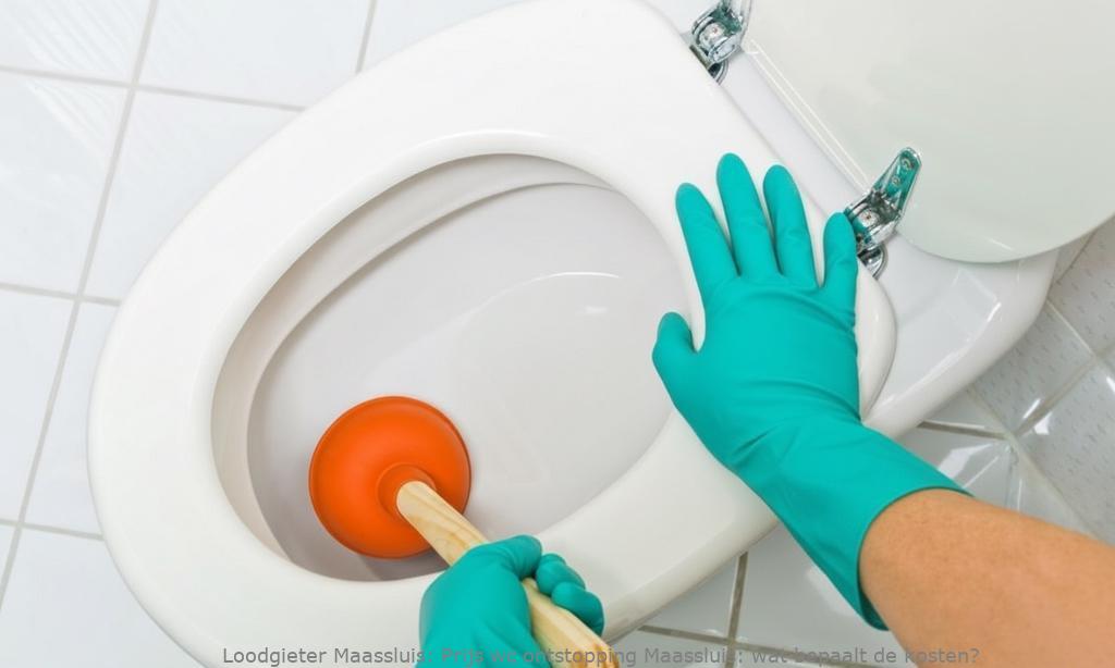 Prijs wc ontstopping Maassluis: wat bepaalt de kosten?