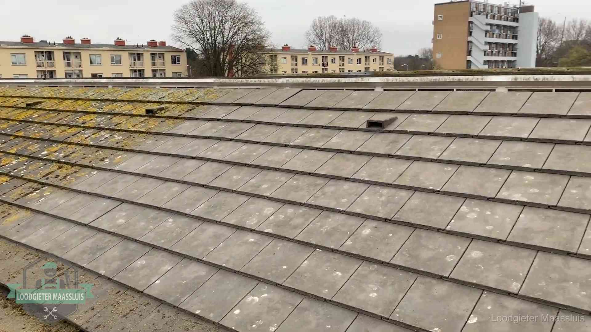 Dakpannen op een schuin dak in Maassluis Schuin dak met betonpannen vol mos in Maassluis, een risico op lekkage bij de pannen
