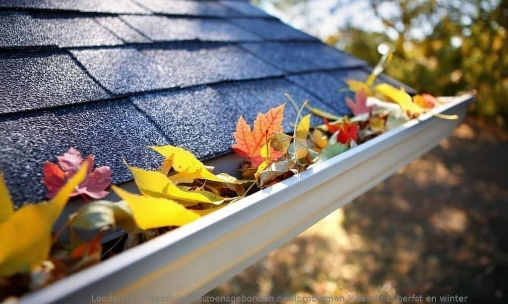 Seizoensgebonden rioolproblemen Maassluis: herfst en winter
