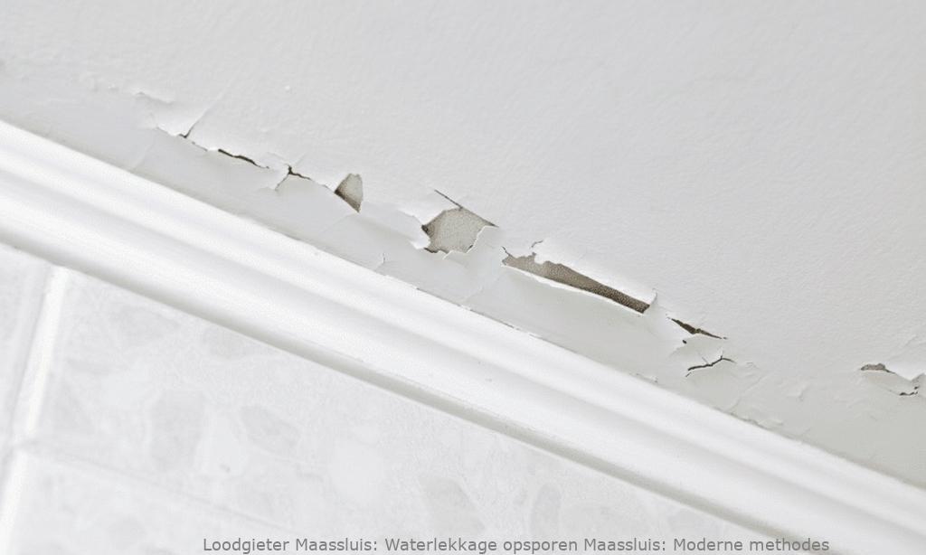 Waterlekkage opsporen Maassluis: Moderne methodes