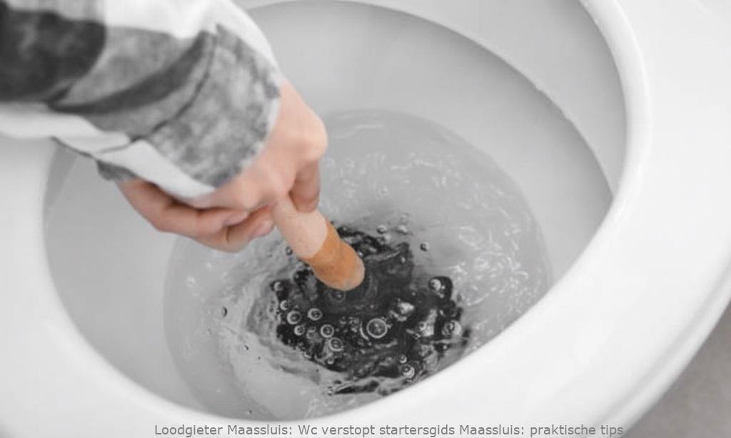 Wc verstopt startersgids Maassluis: praktische tips